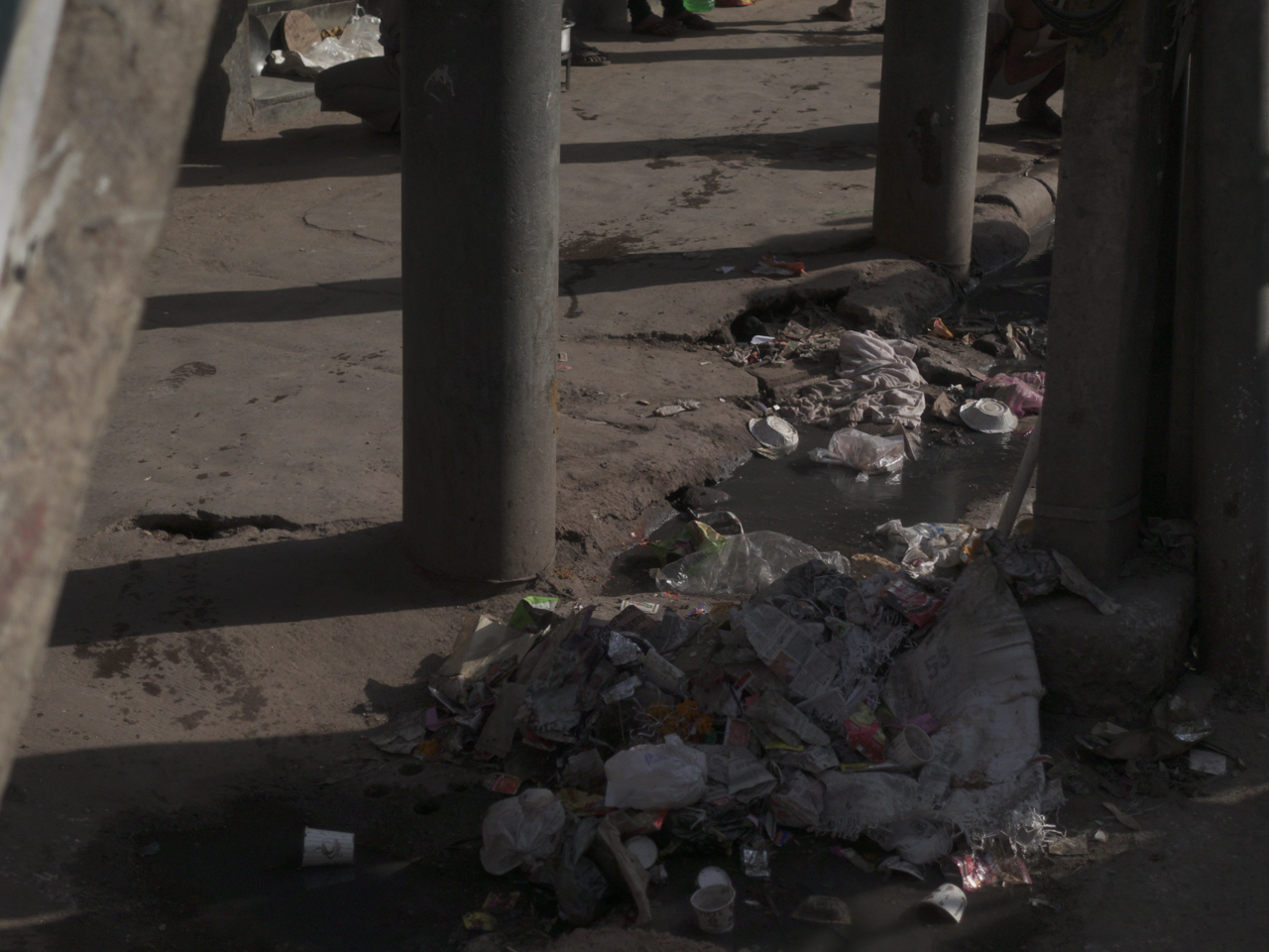 This was the most shocking part when I arrived in India. There is trash everywhere and obviously no system nor institution that cares about collecting and recycling trash.